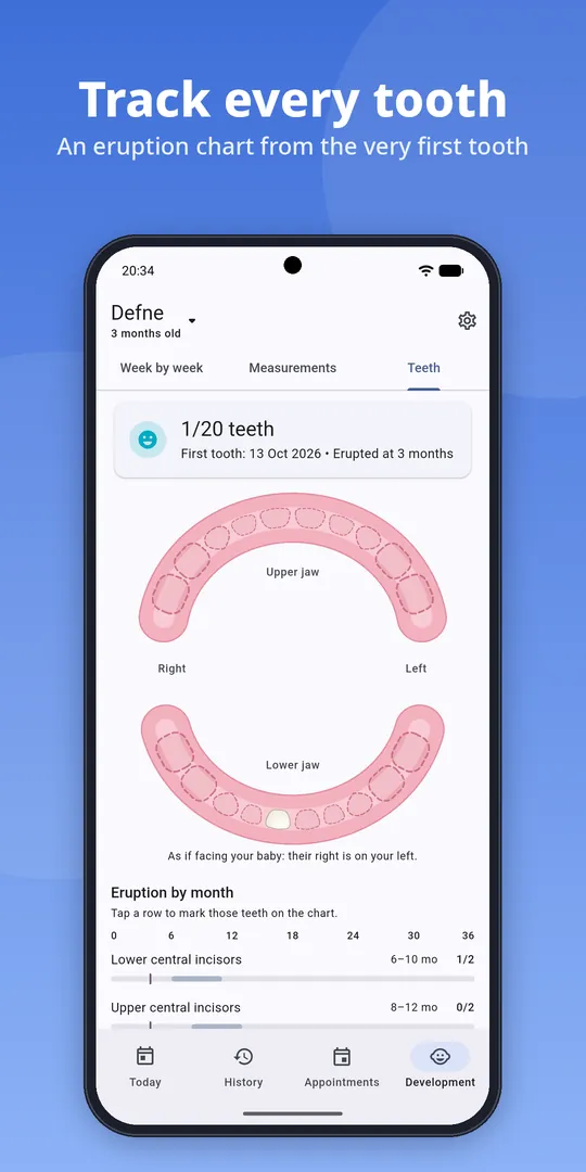 Teeth tracking chart